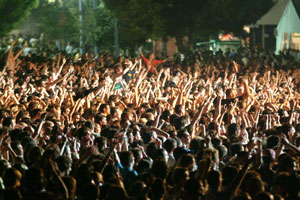 Manage tickets for musical concert tickets by areas